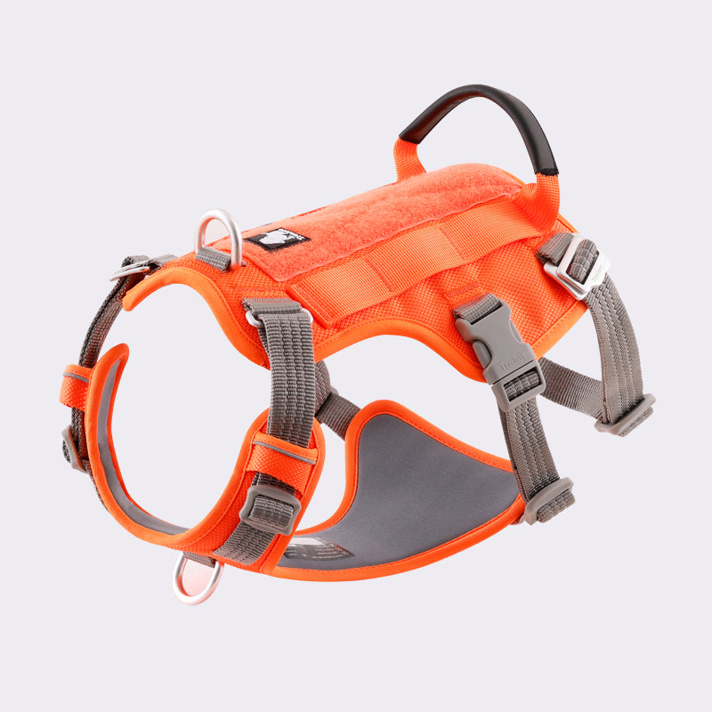 Truelove Escape Proof Dog Harness