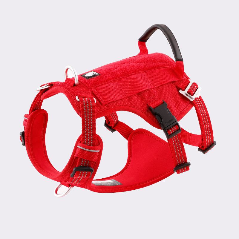 Truelove Escape Proof Dog Harness