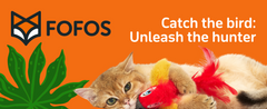 FOFOS parrot with catnip balls