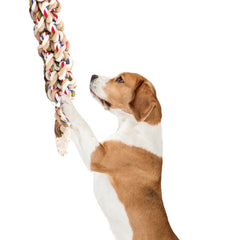 FOFOS FLOSSY ROPE TOY BRAIDED