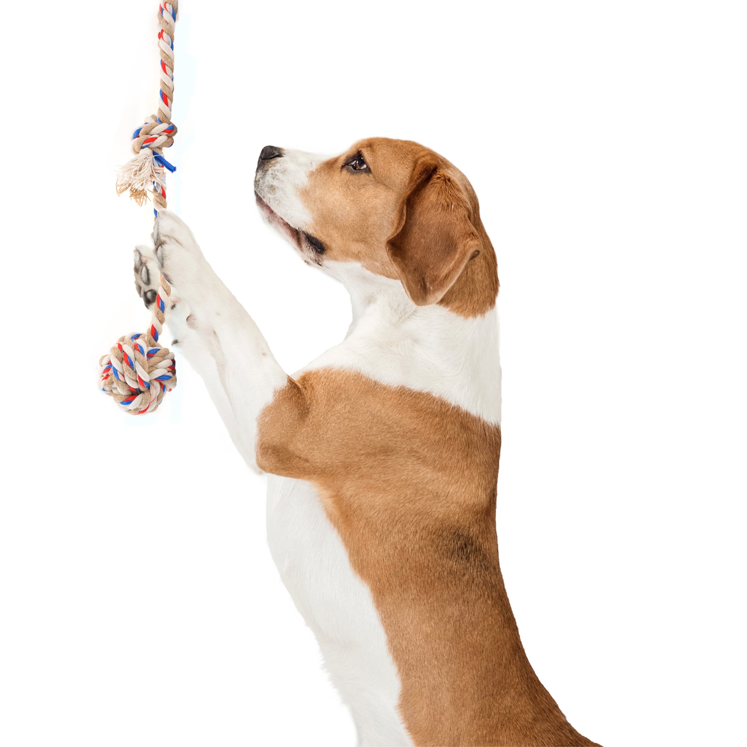 FOFOS FLOSSY ROPE TOY WITH BALL