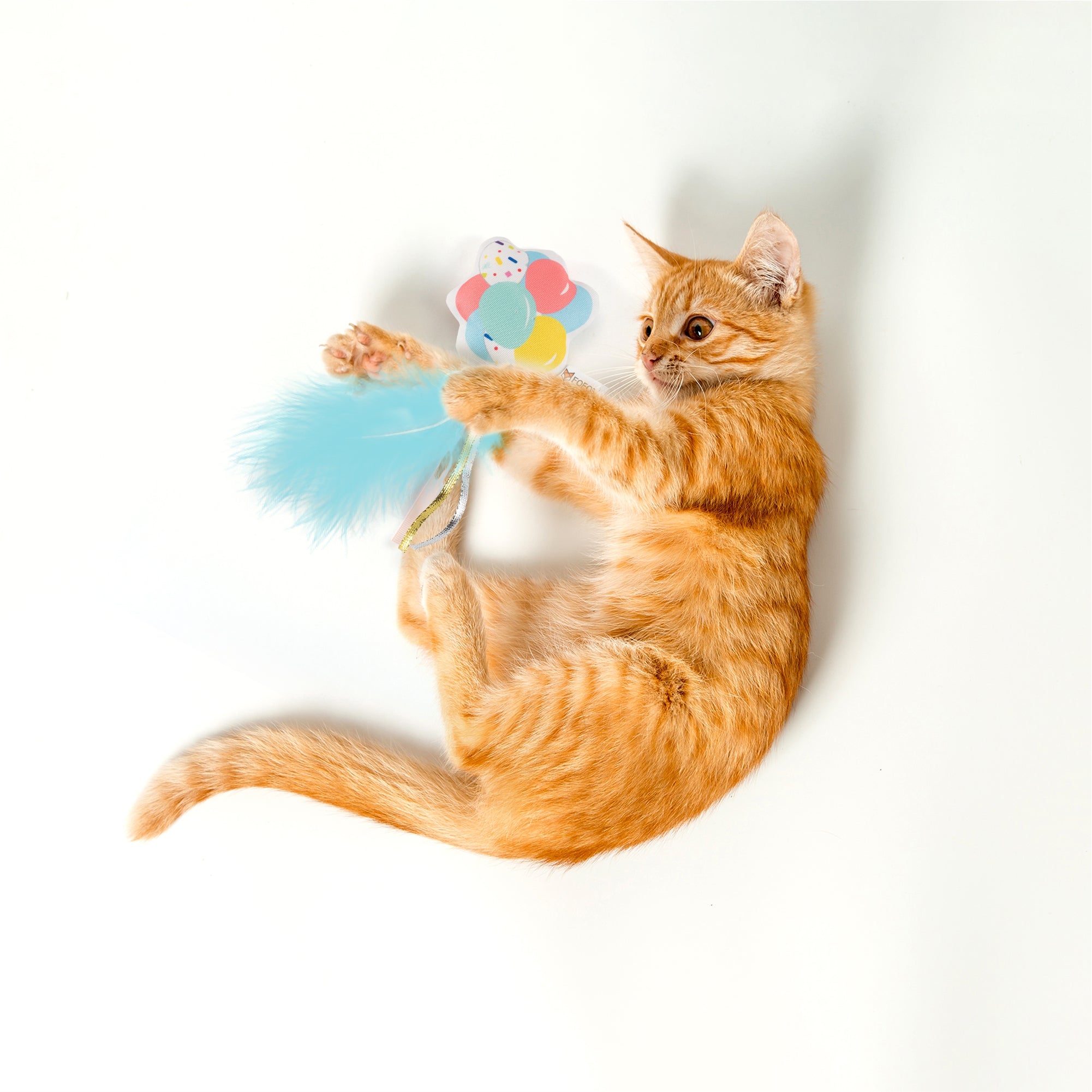 FOFOS birthday balloon cat toy