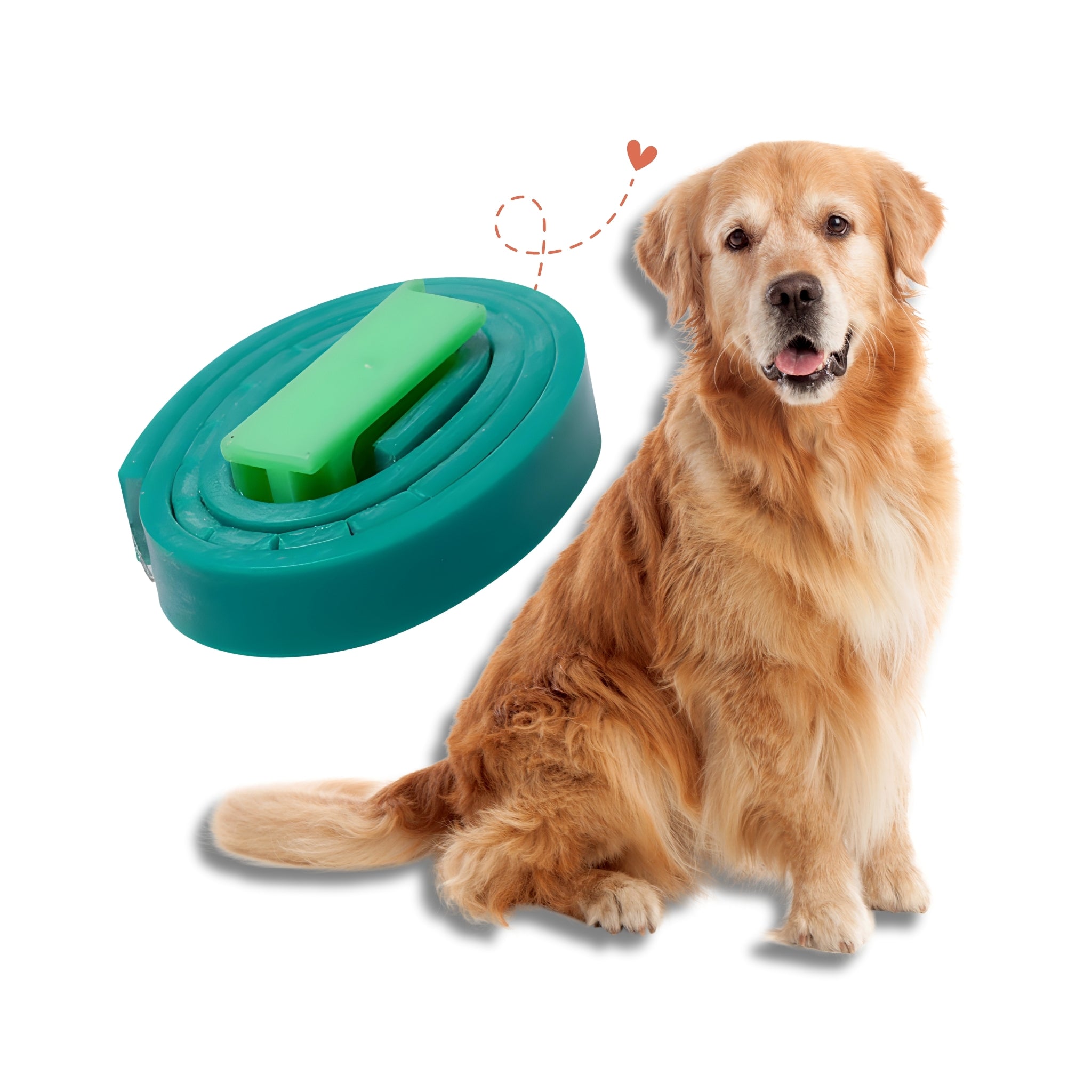 Bioline Flea And Tick Collar- Dogs