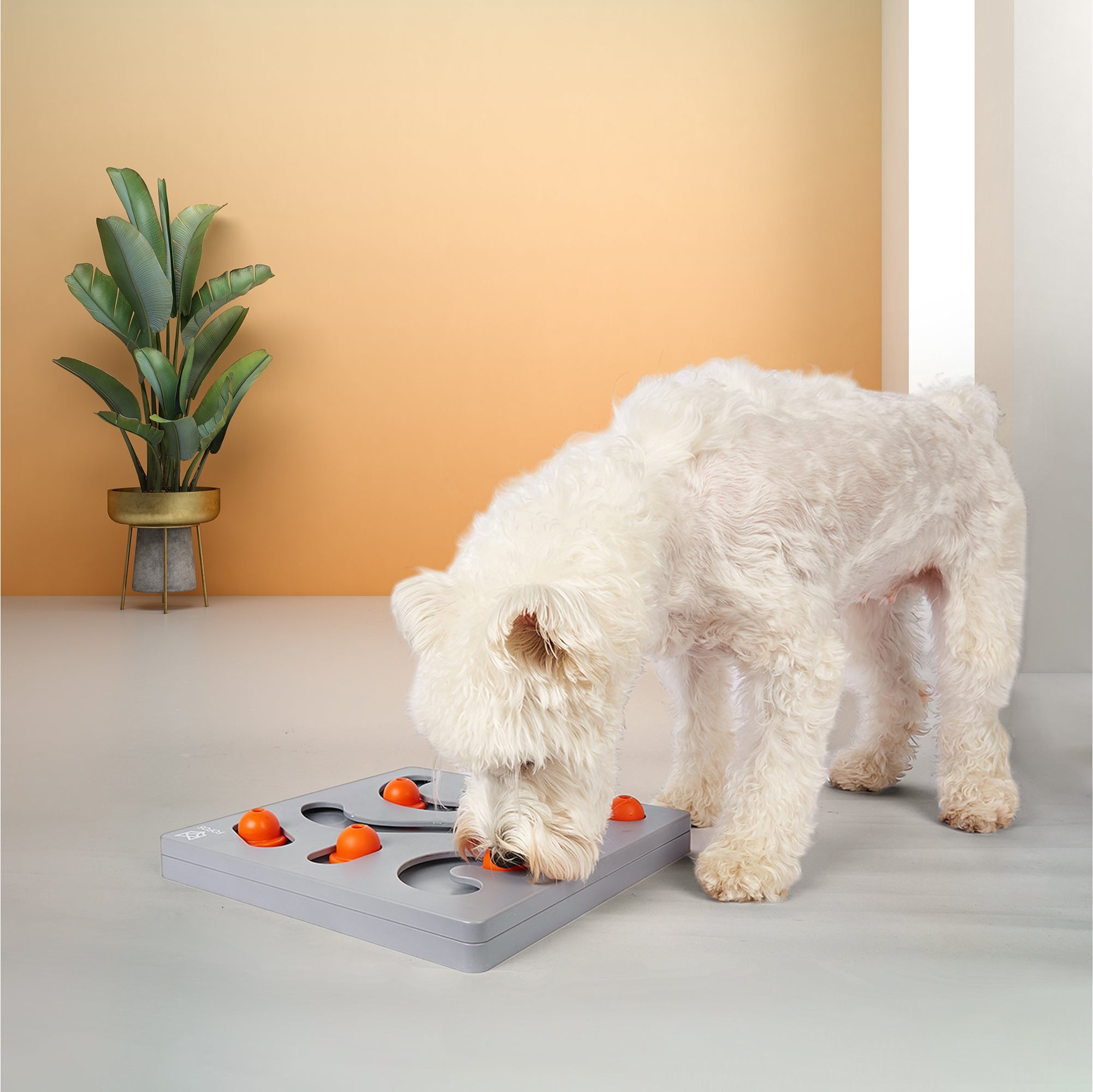 FOFOS Brain Game Treat Puzzle Dog Toy