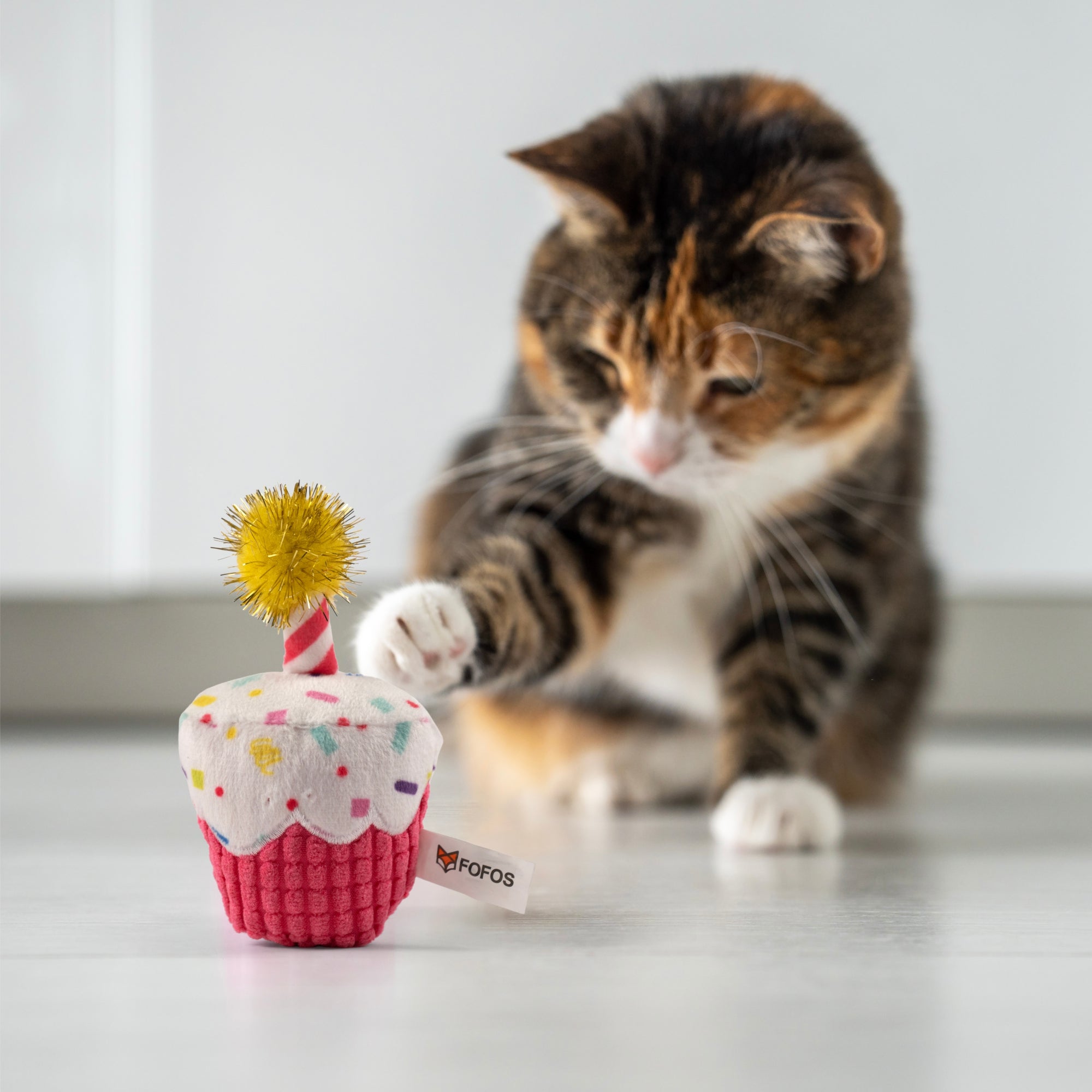 FOFOS birthday cake cat toy