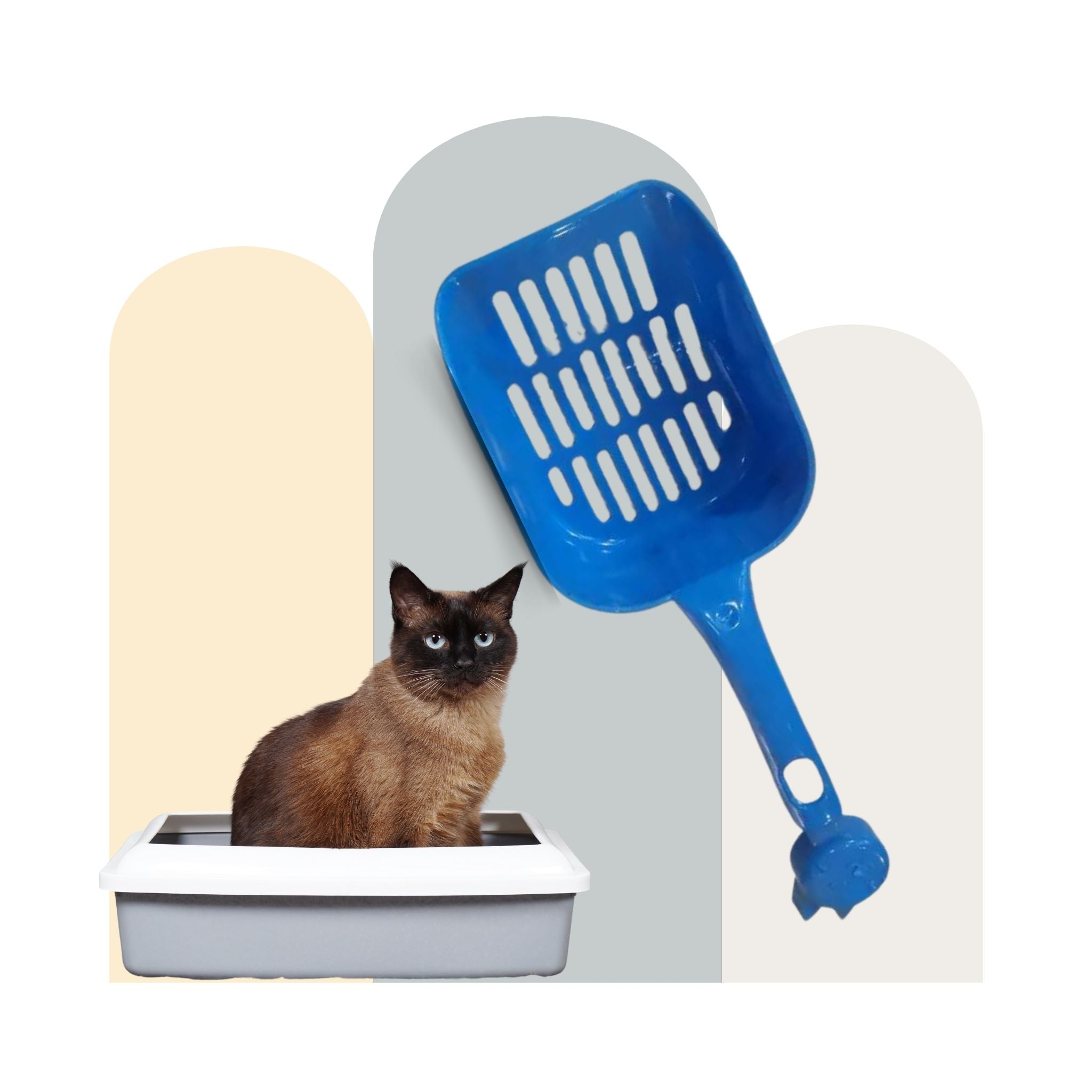 Cat Litter Scooper Small