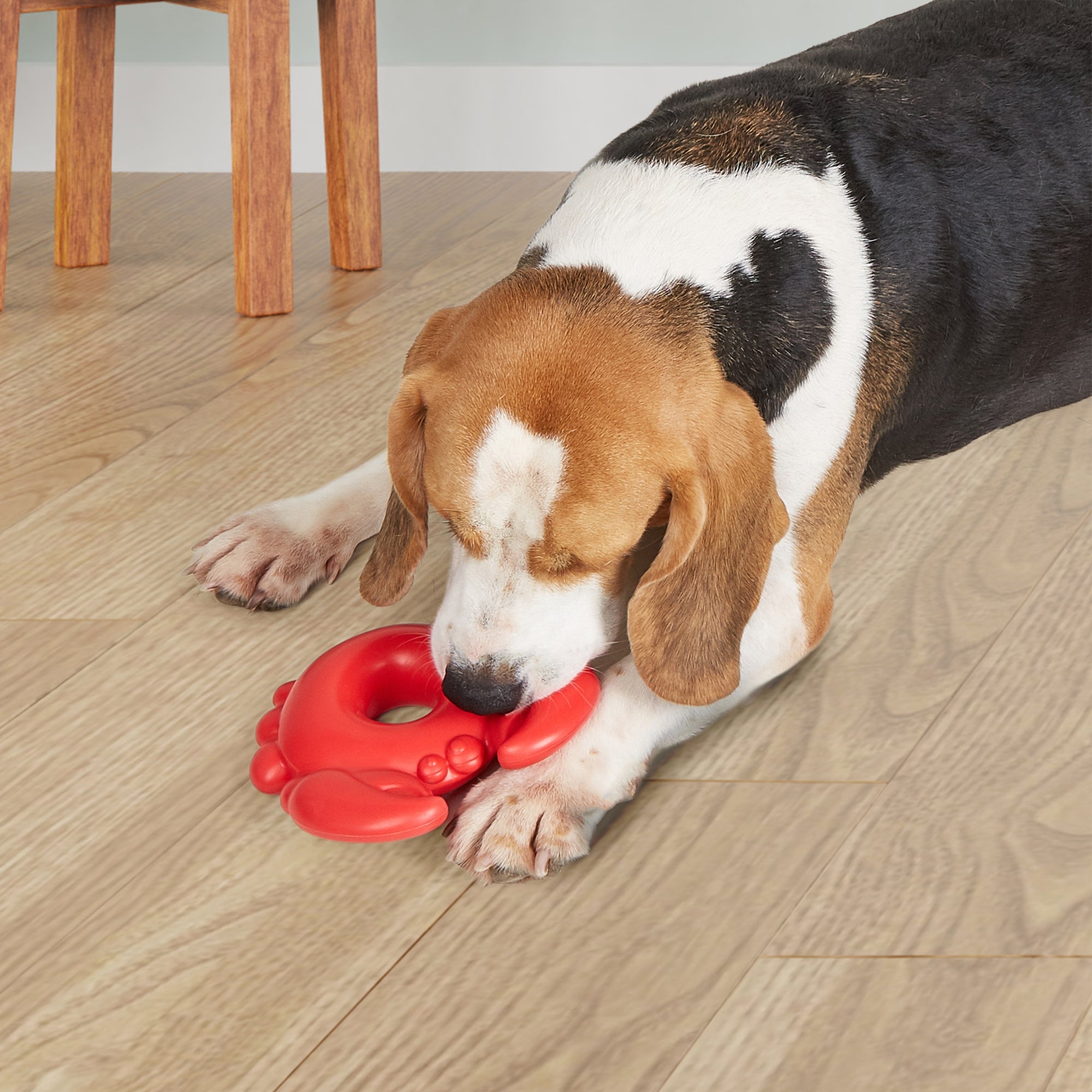 FOFOS Ocean Animal Chewing Squeaky Crab