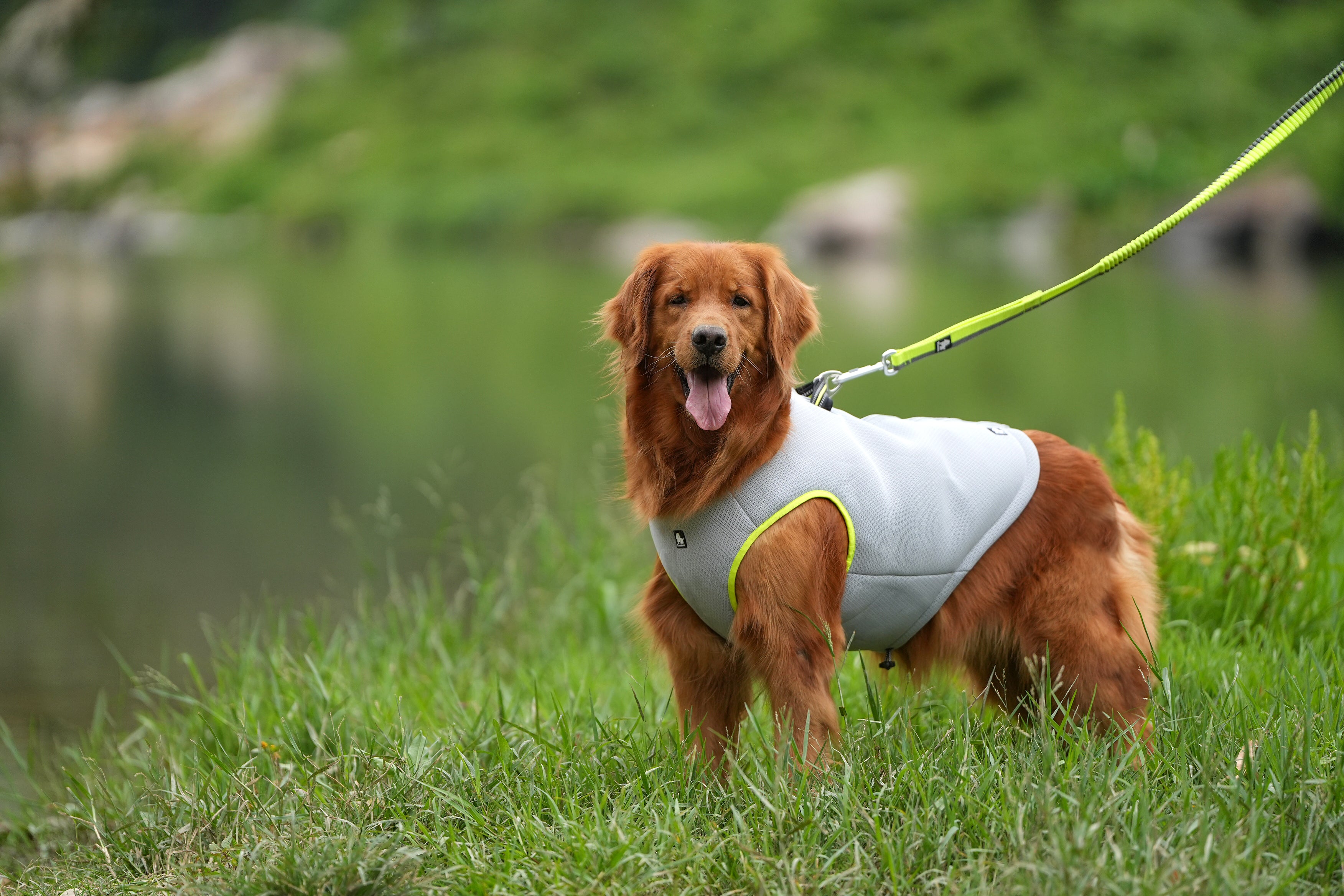 TRUELOVE Cooling Vest