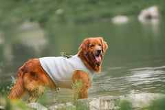 TRUELOVE Cooling Vest