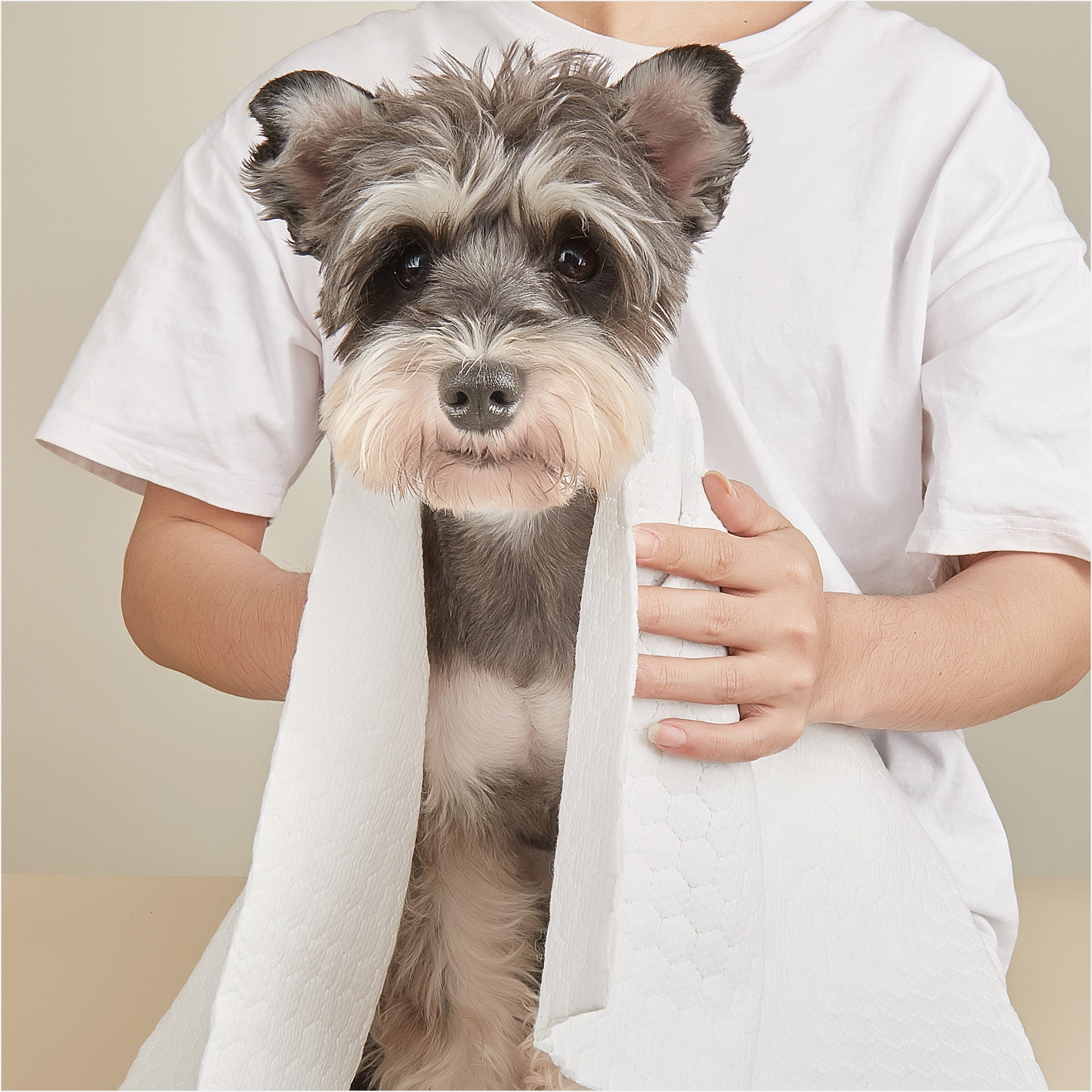 FOFOS Disposable Pet Towels