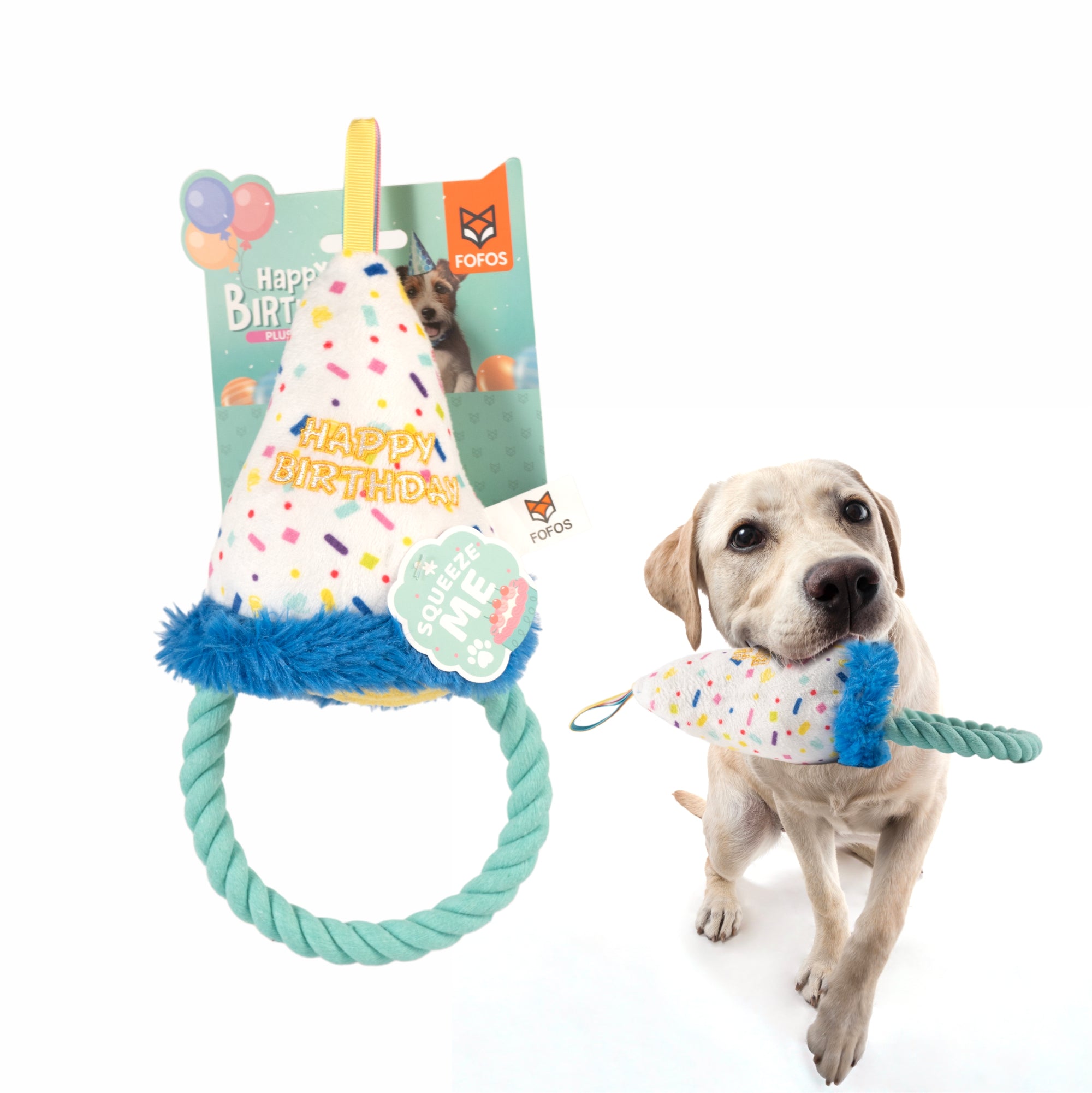 FOFOS birthday hat dog toy