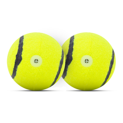 FOFOS Sports Fetch Ball 2pk