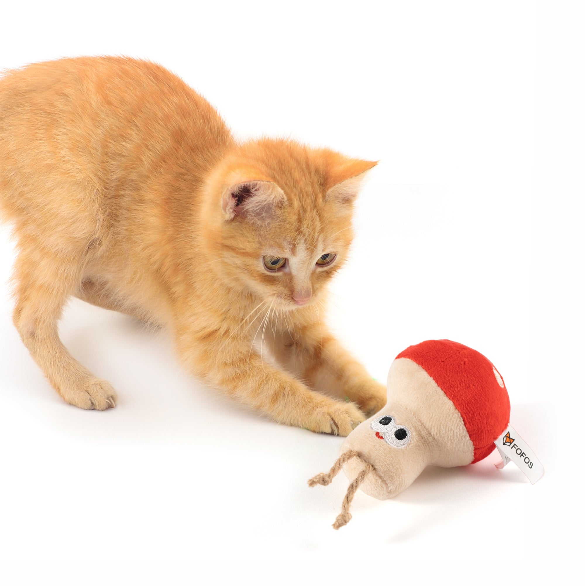 FOFOS mushroom cat toy