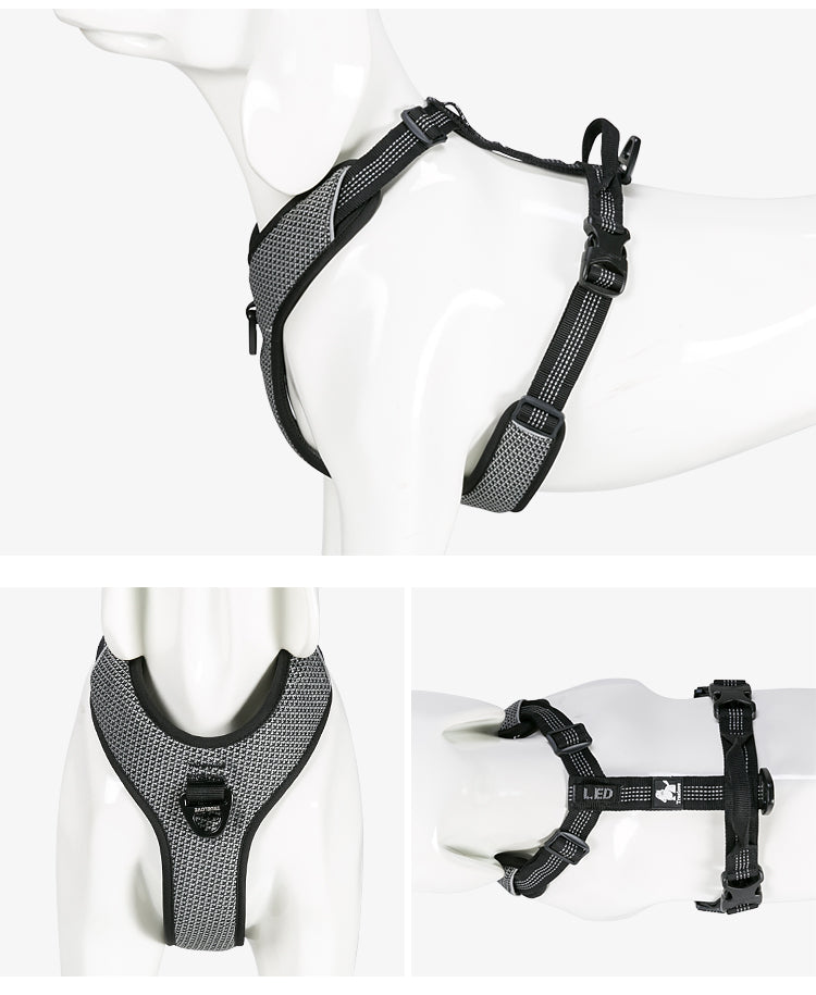 TRUELOVE HARNESS WITH REFLECTIVE FABRIC