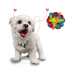 Multi Colour Ball Dog Toy Medium/Large