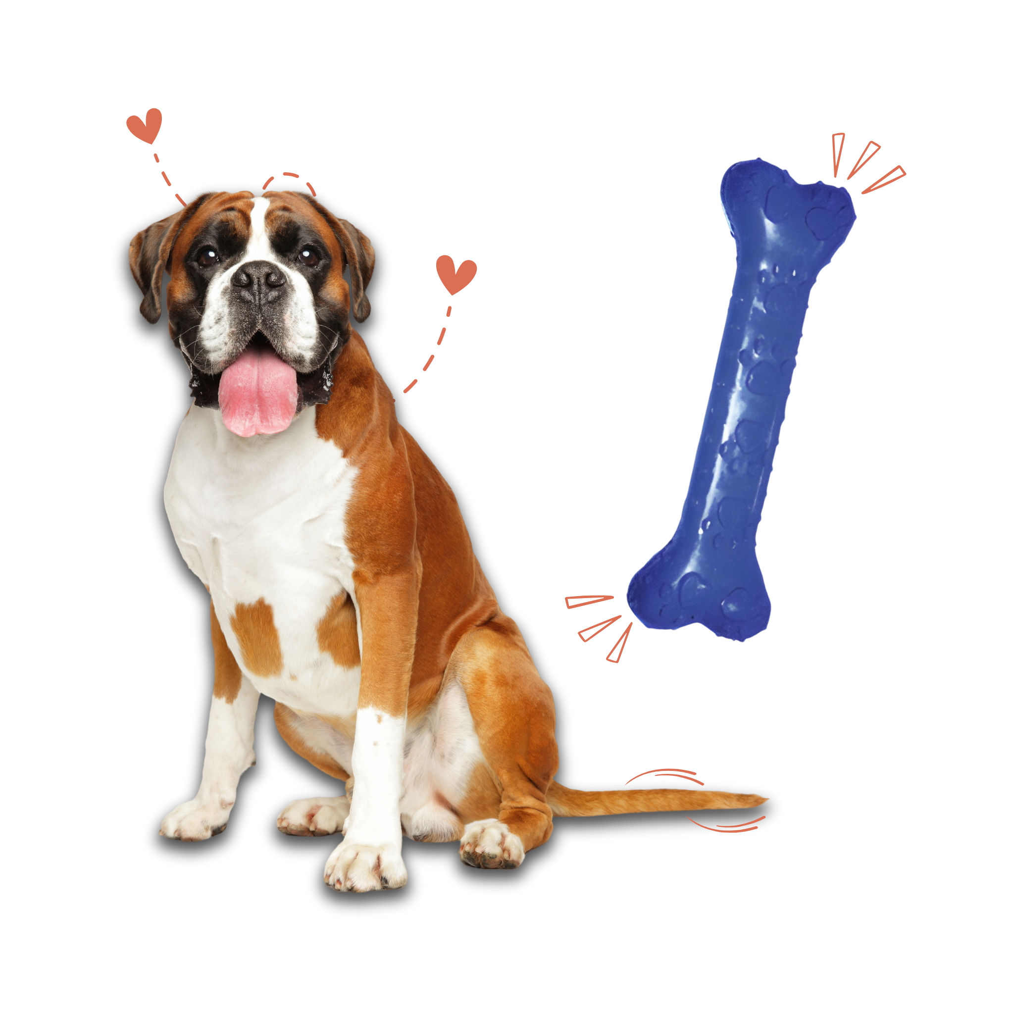 Non-Toxic Rubber Bone Flavoured Toy For Large Sized Dogs