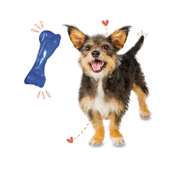 Non-Toxic Rubber Bone Flavoured Toy For Small Sized Dogs