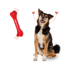 Non-Toxic Rubber Bone N.S. Large Toy for Dogs