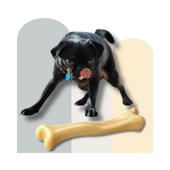 Nylon Play Bone for Dogs