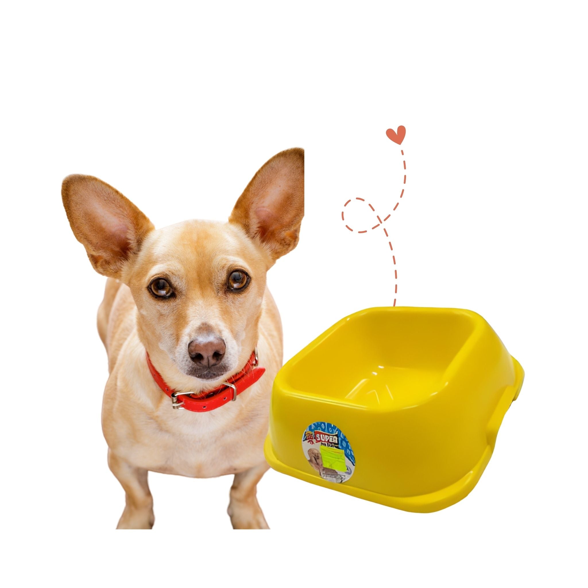 Dog Plastic Square Bowl