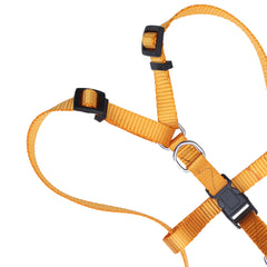 POLY ADJ HARNESS