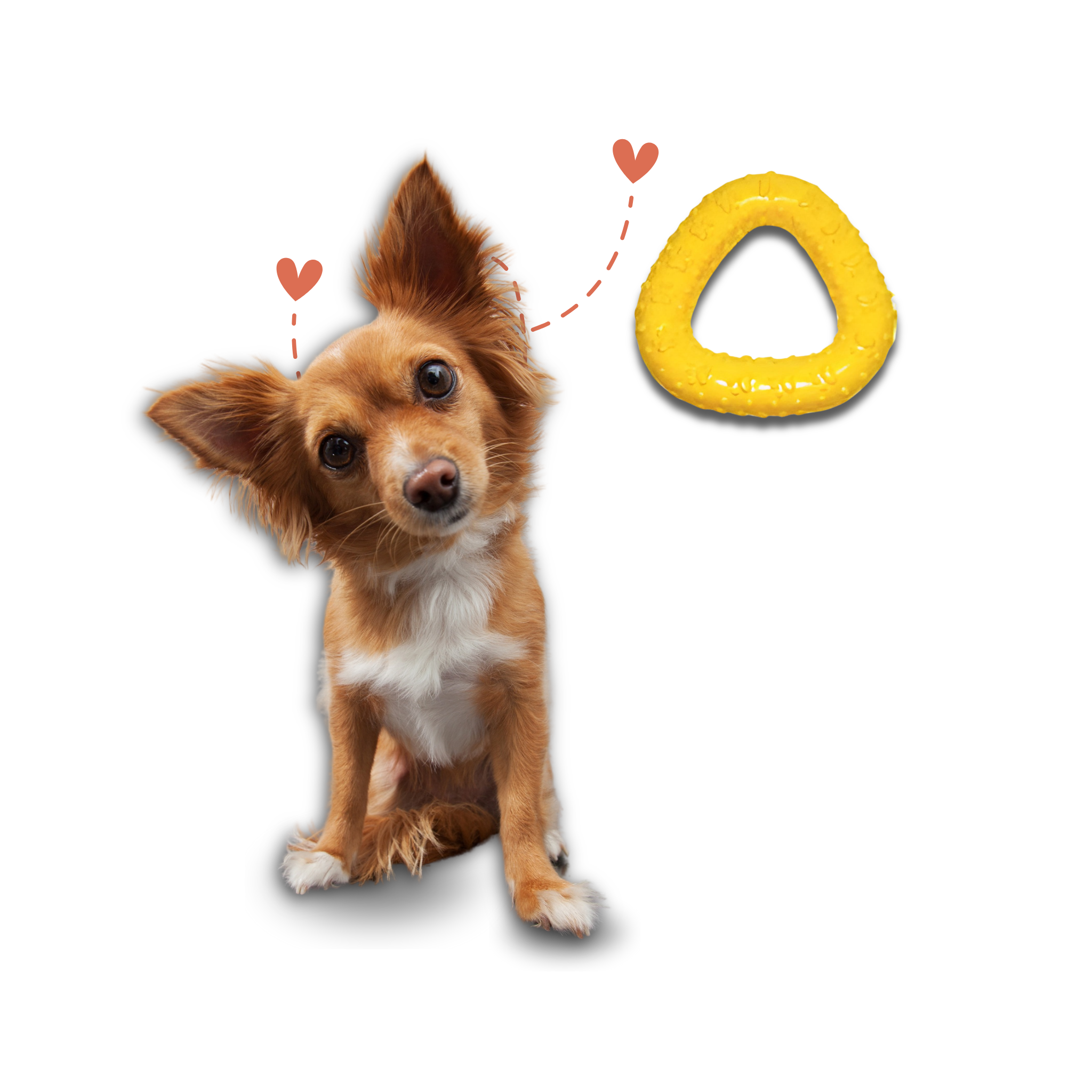 Rubber Ring Flav Trio for Small Sized Dogs