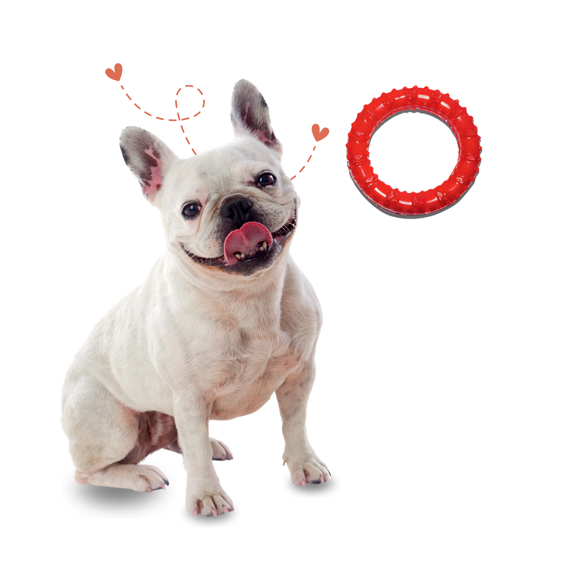 Rubber Ring Flavoured Chew Toy for Puppy & Small Breed Dogs