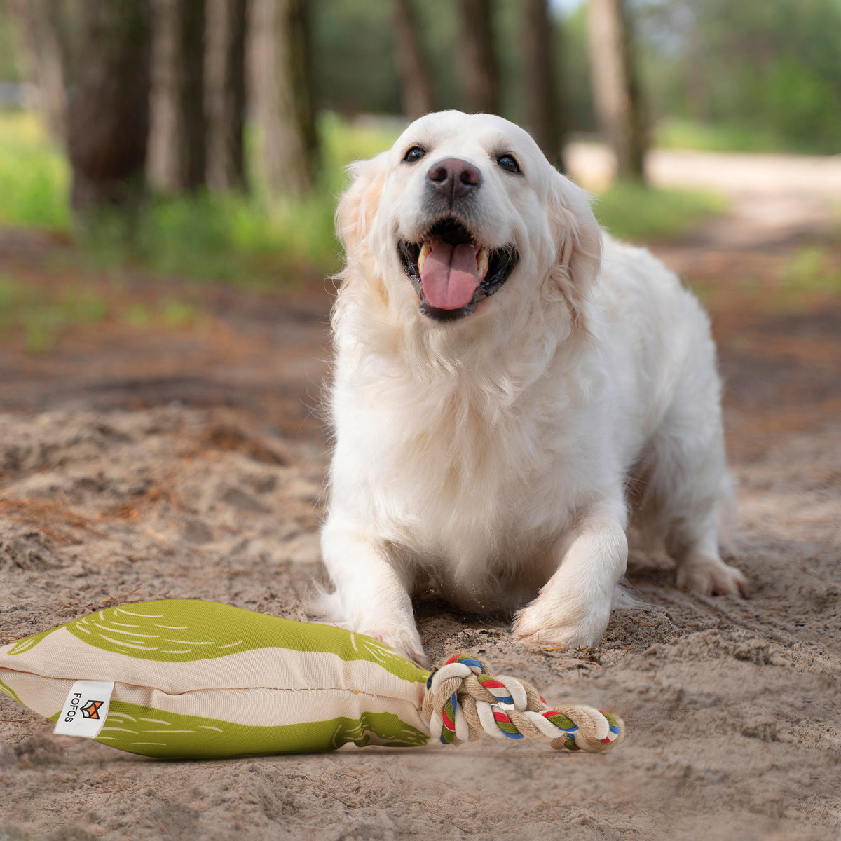 FOFOS flossy rope toy with sloth