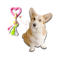 Super Puppy Chew Heart Teather