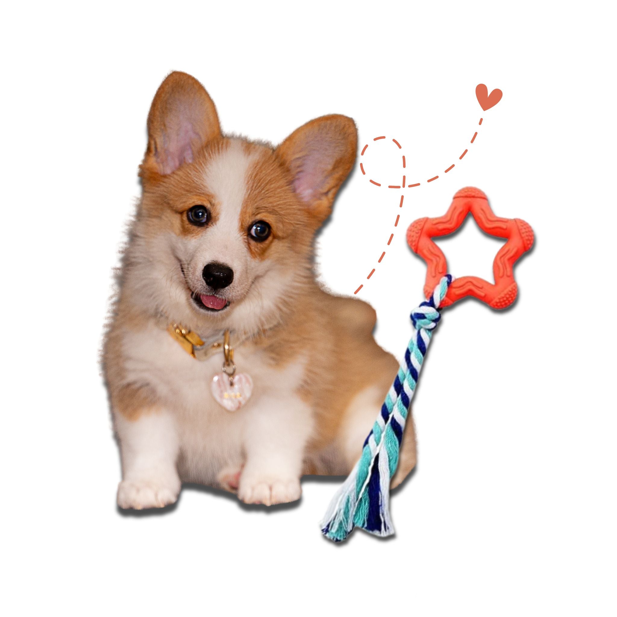 Super Puppy Chew Star Teather