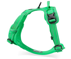 Truelove Classic Harness