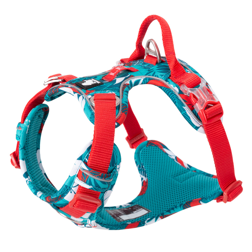 Truelove No-Pull Special Edition Harness