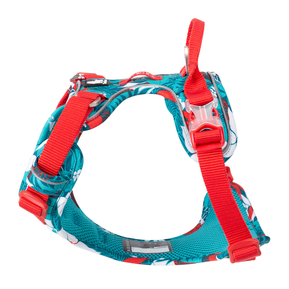 Truelove No-Pull Special Edition Harness