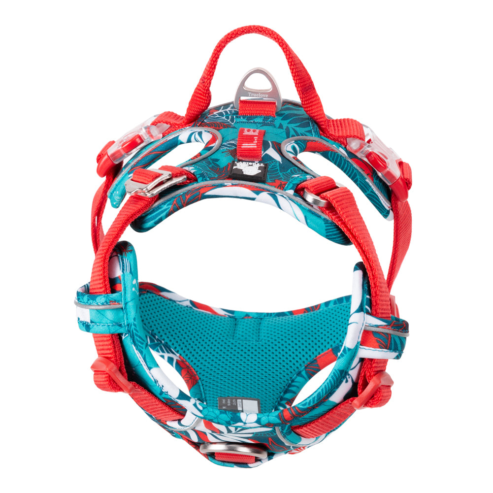 Truelove No-Pull Special Edition Harness