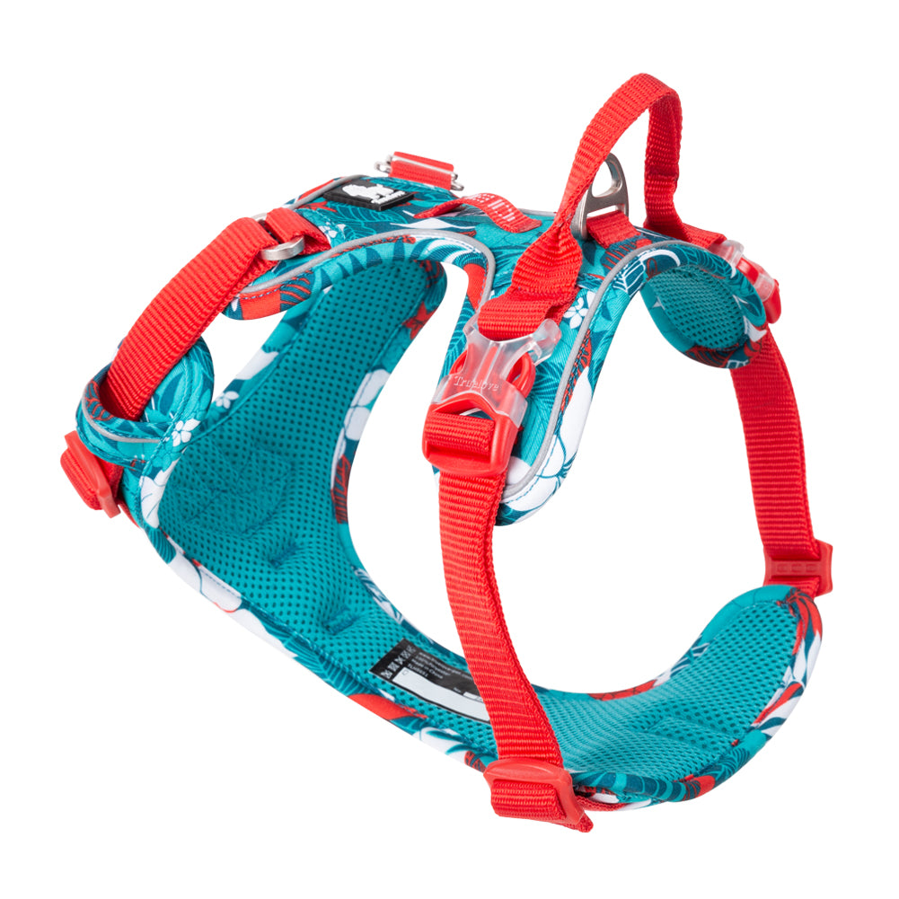 Truelove No-Pull Special Edition Harness