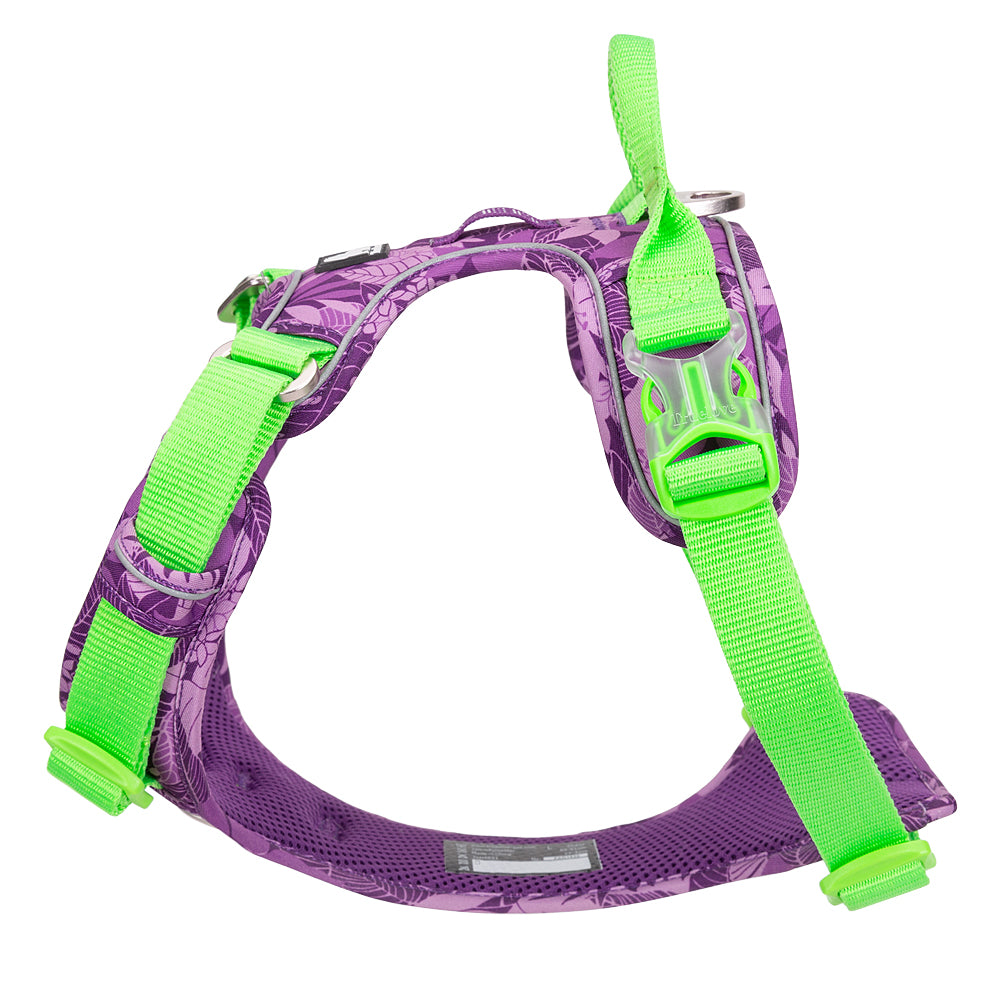 Truelove No-Pull Special Edition Harness