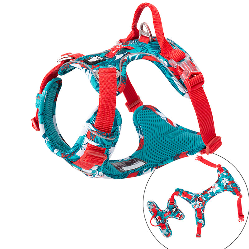 Truelove No-Pull Special Edition Harness