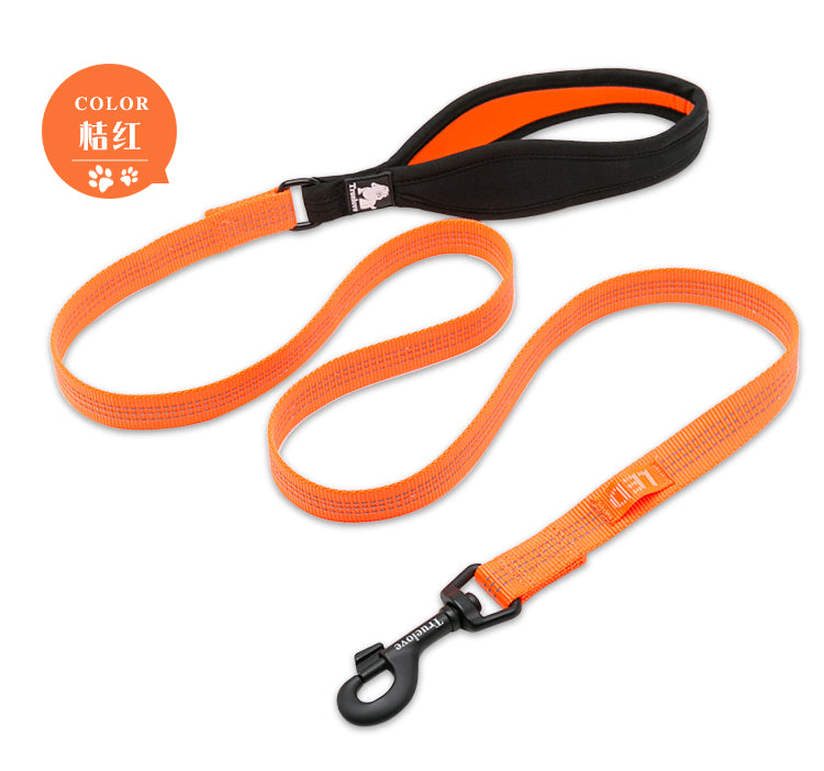 TRUELOVE Nylon Leash