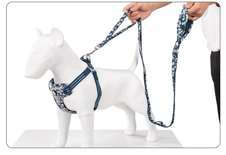 Truelove Floral Pet Leash,multi-handle