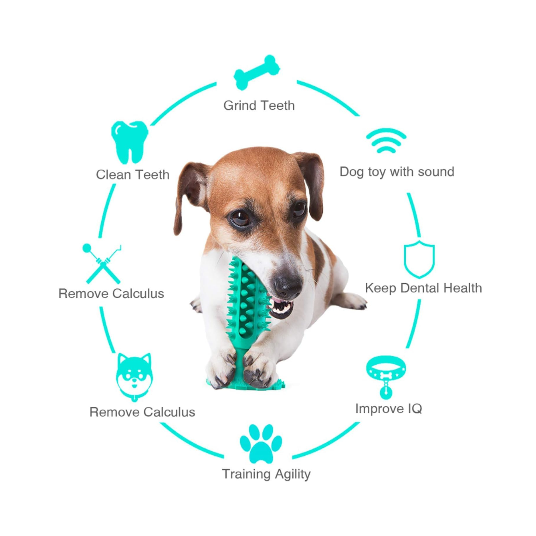 Toying Tooth Brush Toy for Dogs