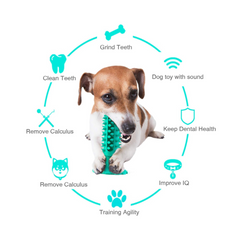 Toying Tooth Brush Toy for Dogs