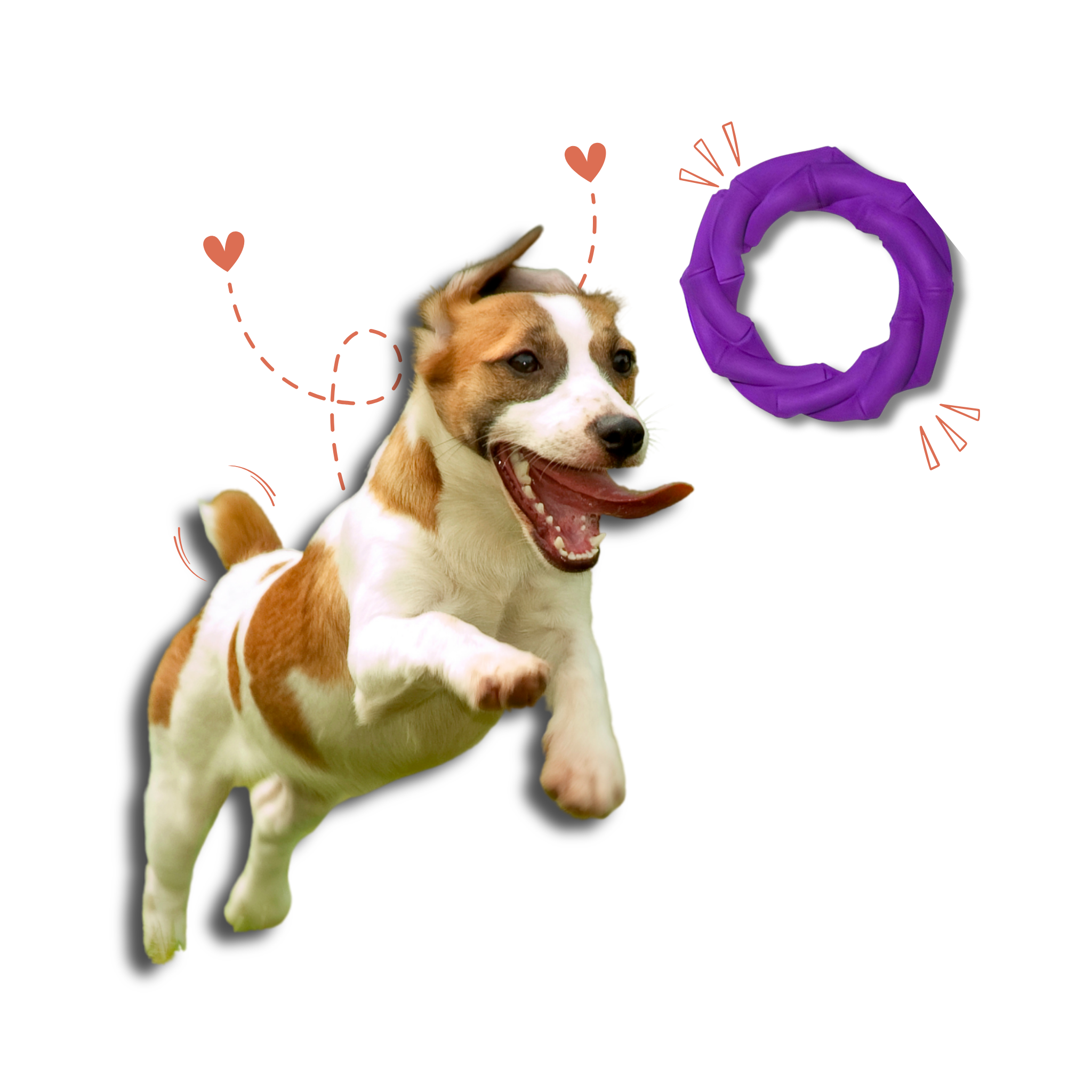 Twisted Ring Medium/Large-sized Toy for Dogs