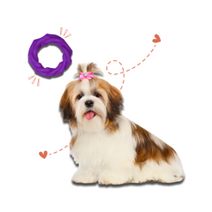 Twisted Ring Medium/Large-sized Toy for Dogs