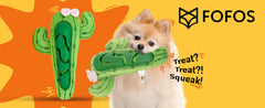 FOFOS Cute Treat Toy-Cactus